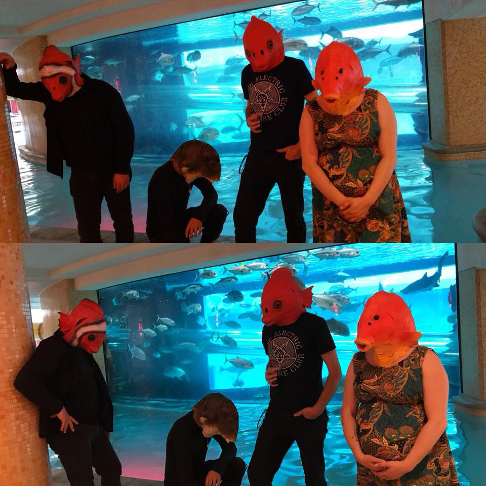 Vegas shark